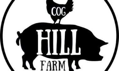 Cog Hill Farm Net Worth – The Real Value of the Famous Homestead in 2025