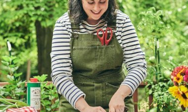 Claire Saffitz Net Worth (2025): From Test Kitchen Star to Baking Icon