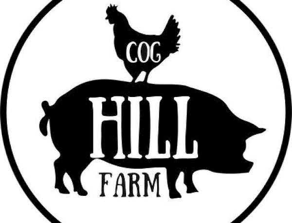 Cog Hill Farm Net Worth – The Real Value of the Famous Homestead in 2025