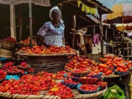 south west african market