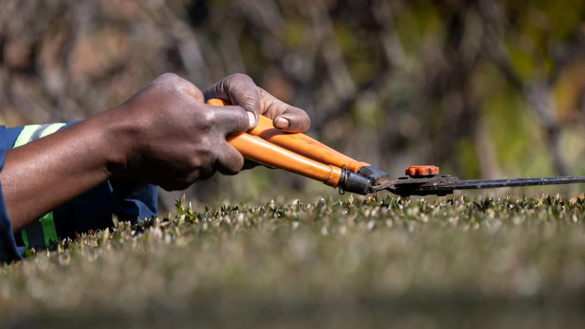 Garden maintenance sells repeat visits, not one-off jobs